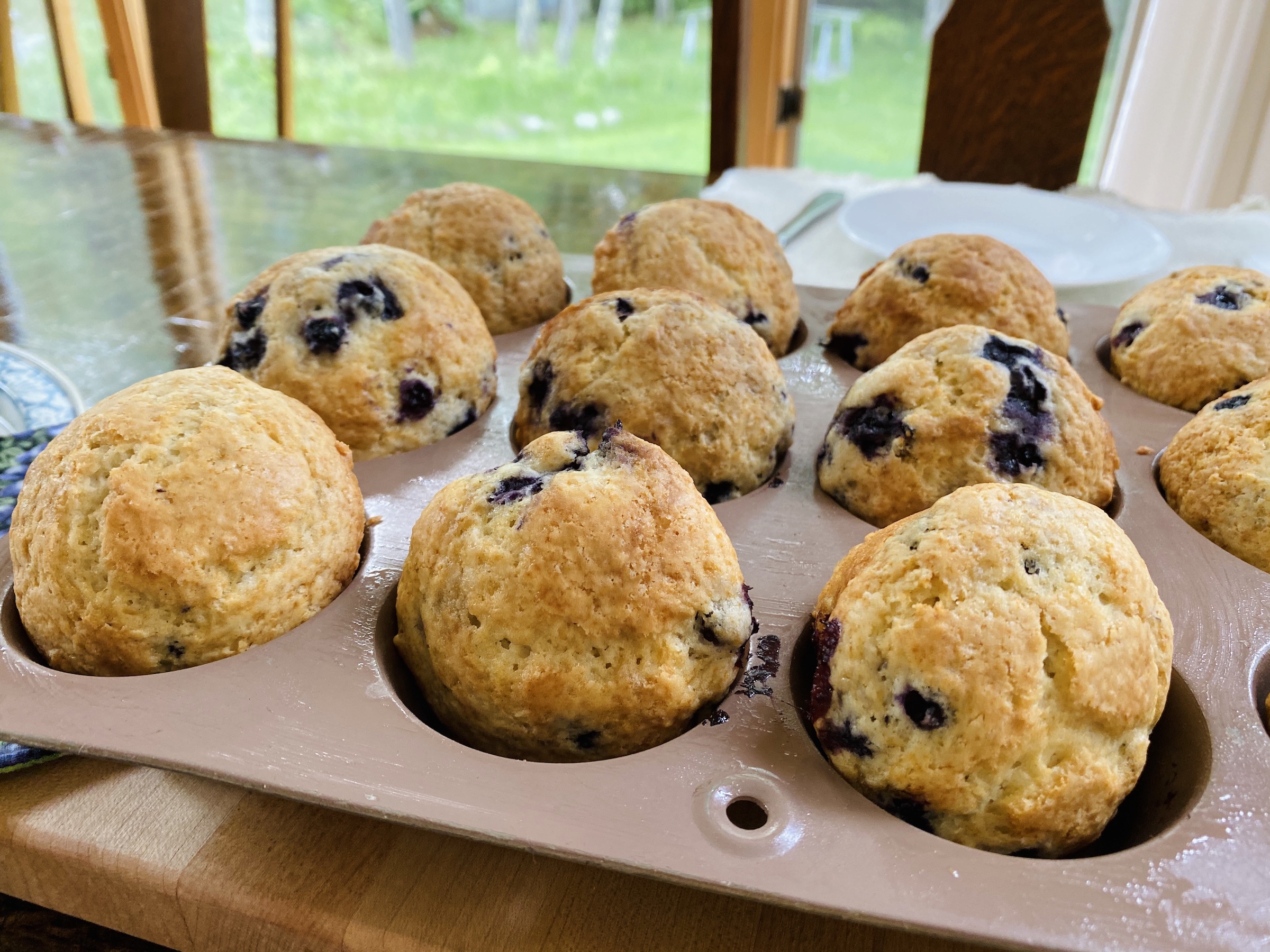 Blueberry Muffins